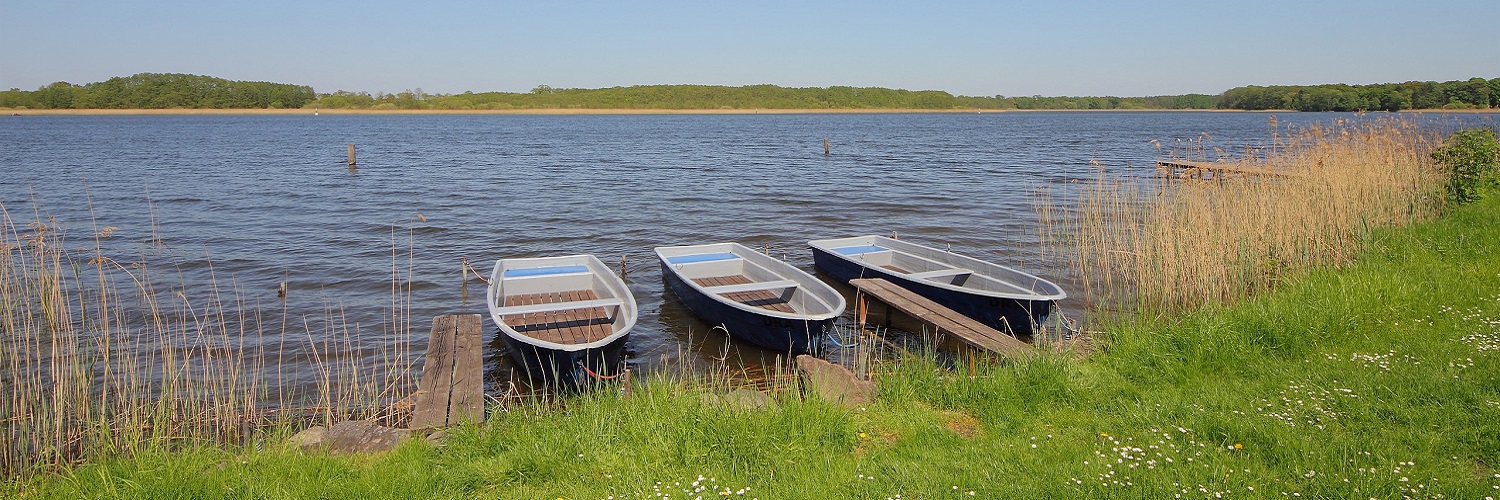 News und Inspiration für das Bundesland Brandenburg